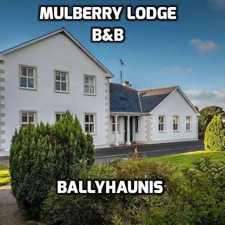Mulberry Lodge Guest House Ballyhaunis Zewnętrze zdjęcie