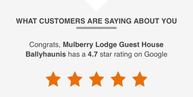 Mulberry Lodge Guest House Ballyhaunis Zewnętrze zdjęcie